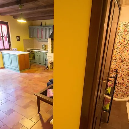 Banek Daire Novigrad Istria